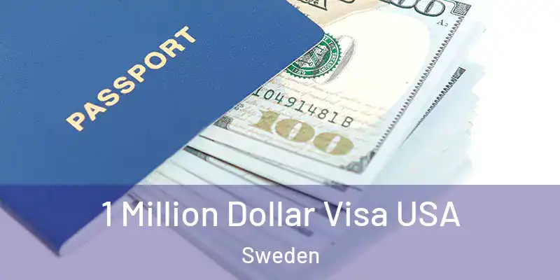 1 Million Dollar Visa USA Sweden