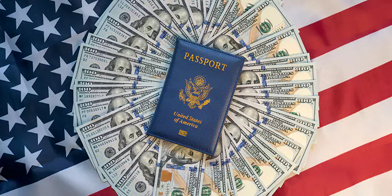Why Choose Us for Your US Investment Visa Journey for Sweden?